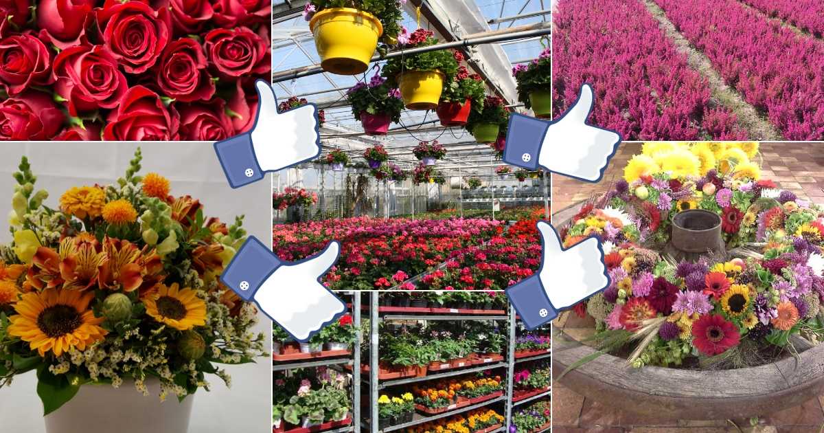 Facebook-Kurs
