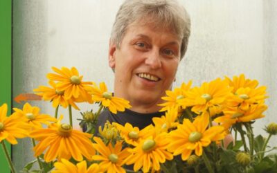 Sichtbarkeit oder Sympathie – Was entscheidet wirklich?